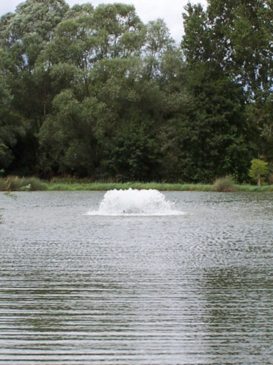 Aération plan d'eau - FLOBULL