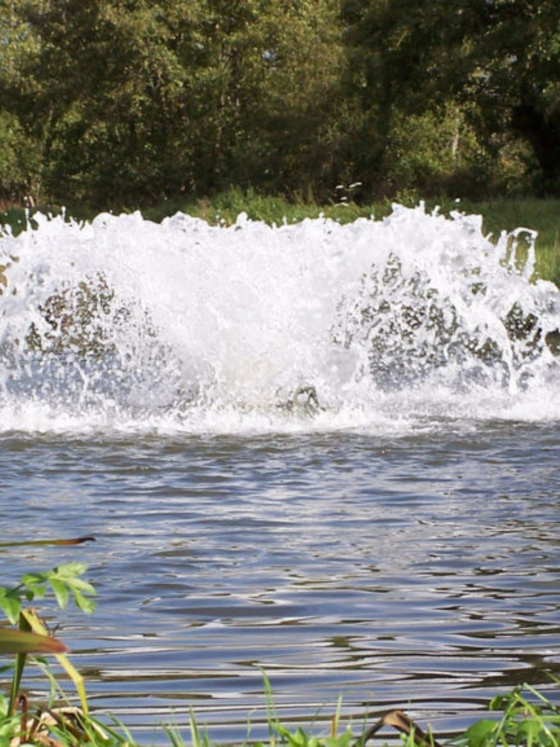 Aération plan d'eau - FLOBULL